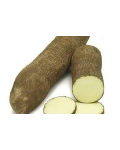 Yam