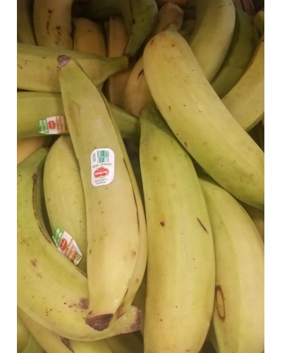 Plantain Bananas